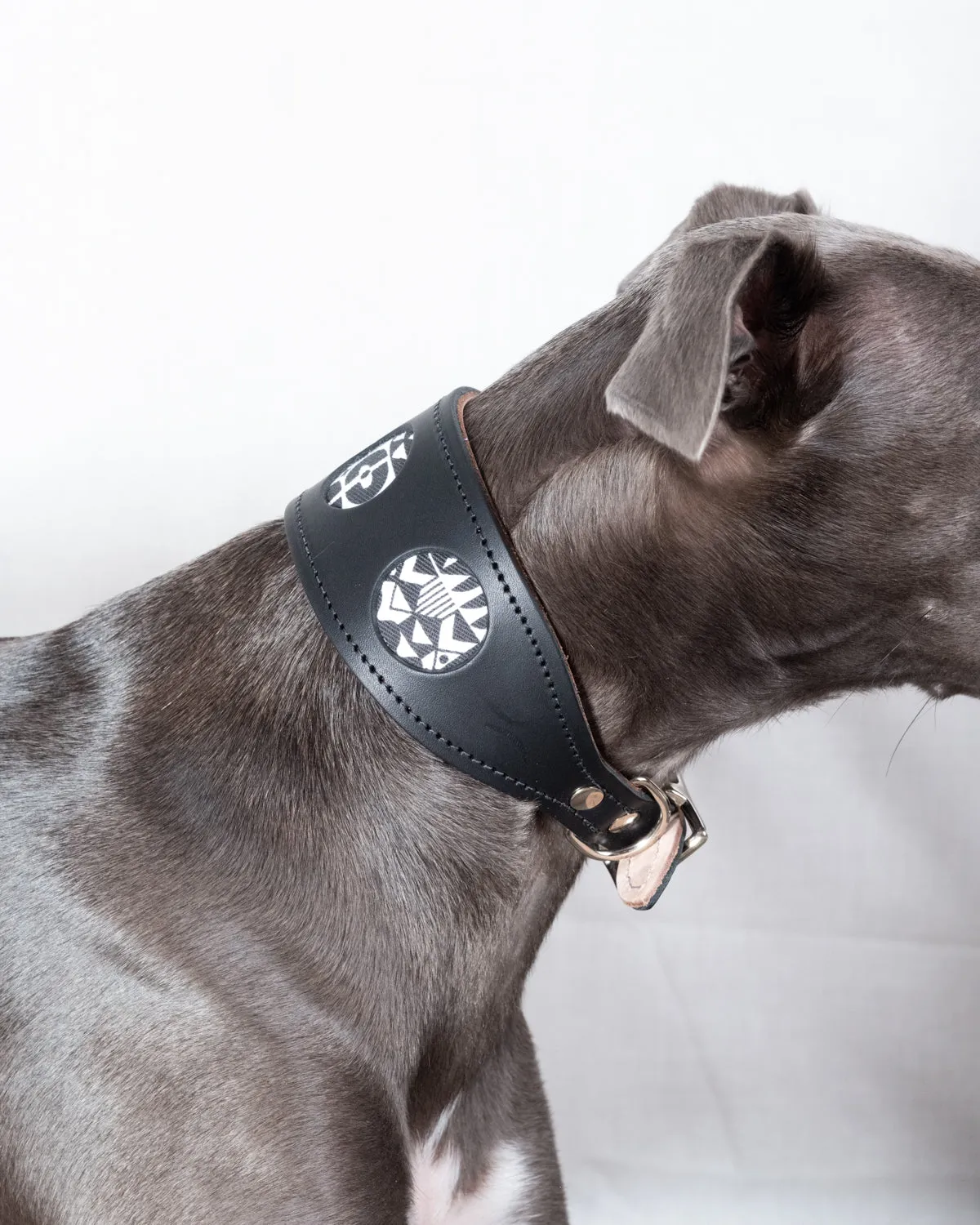 Bow Wow Haus Hound Collar