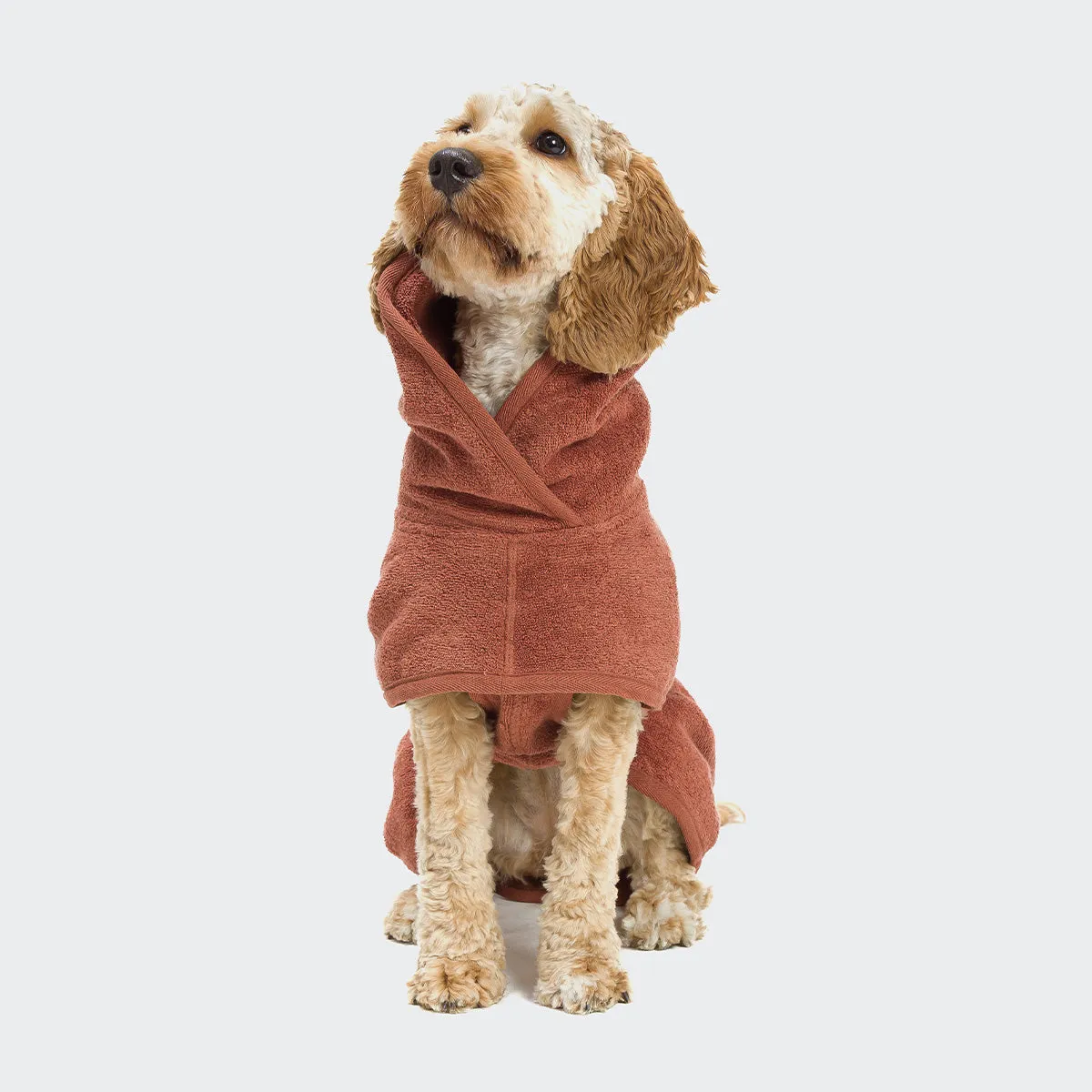 Dog Bathrobe & Towel in Brick Red from Cloud 7