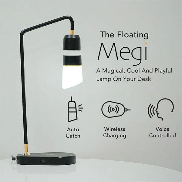 Megi Pro Floating Lamp-5CA9