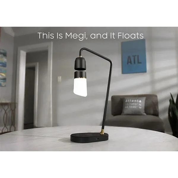 Megi Pro Floating Lamp-5CA9