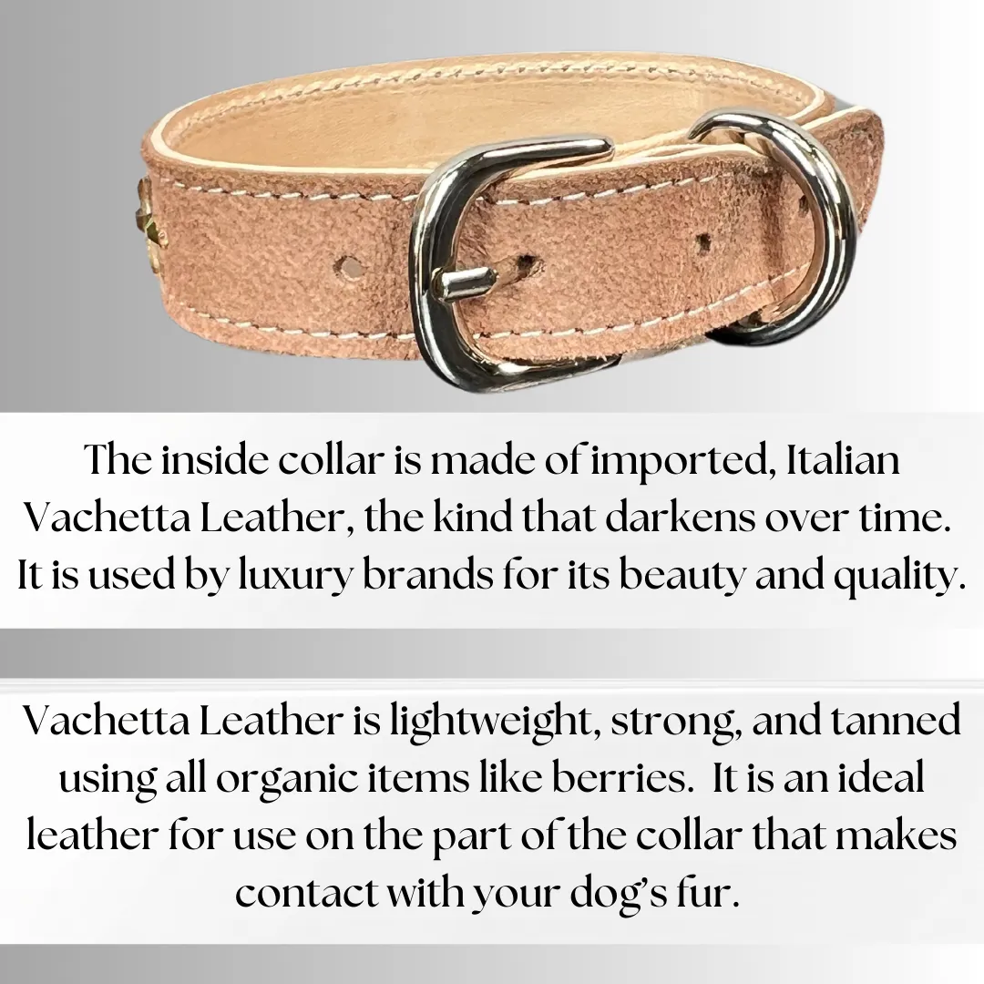 Retro Suede Designer Dog Collar -Brown