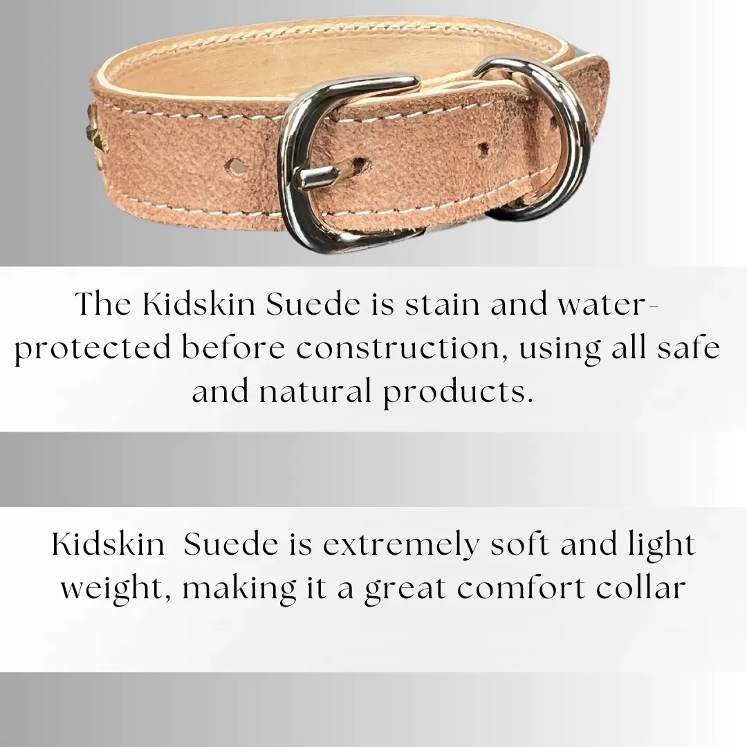 Retro Suede Designer Dog Collar -Brown