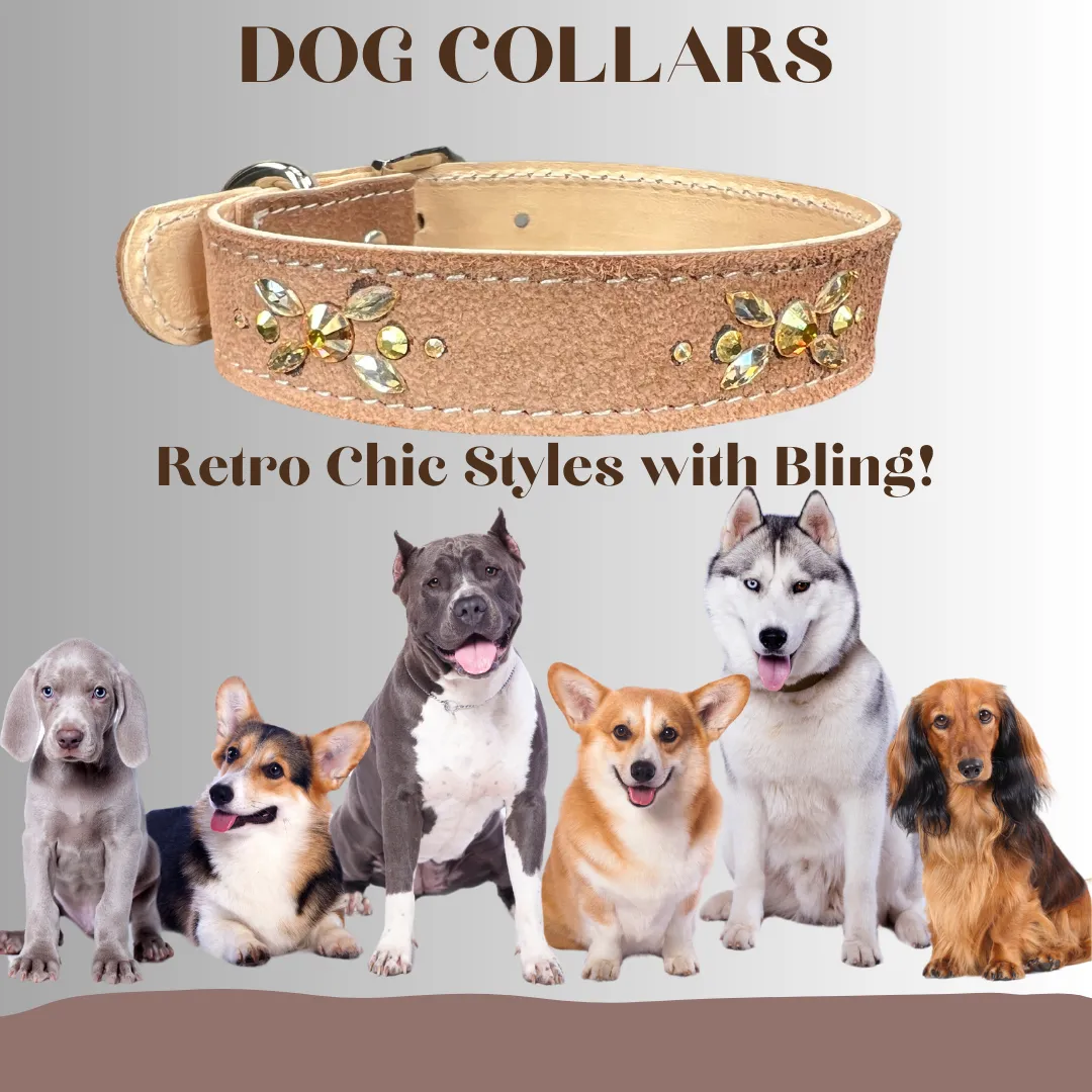 Retro Suede Designer Dog Collar -Brown