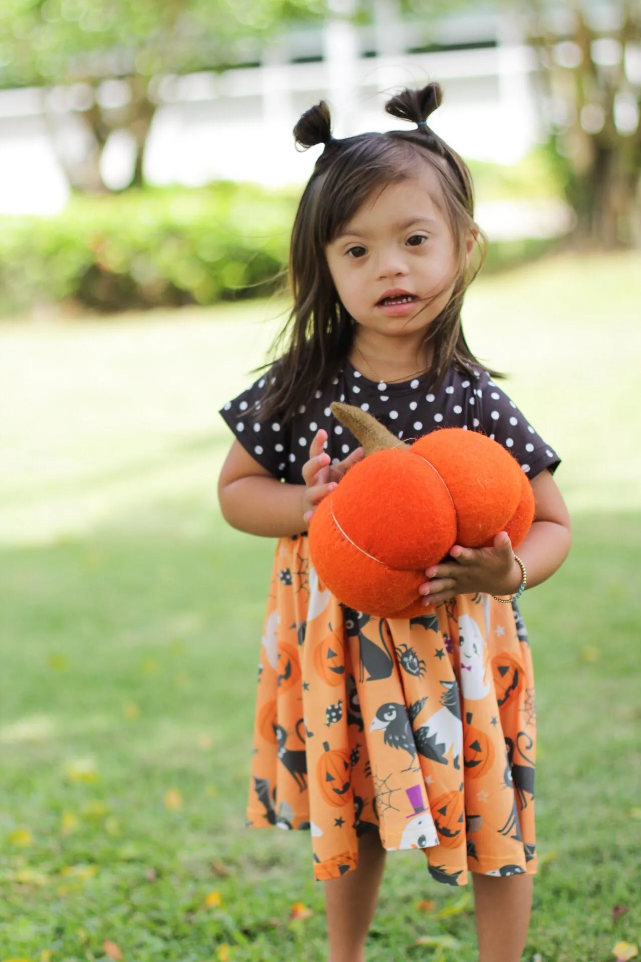 SPOOKY HALLOWEEN CAT TWIRL DRESS