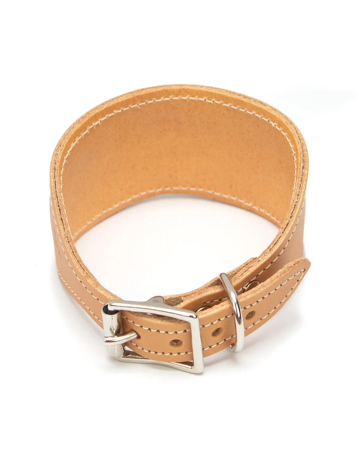 Summer Harvest Hound Collar