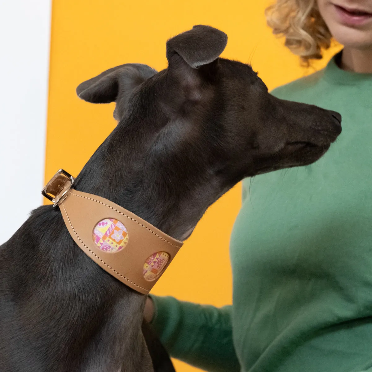 Summer Harvest Hound Collar