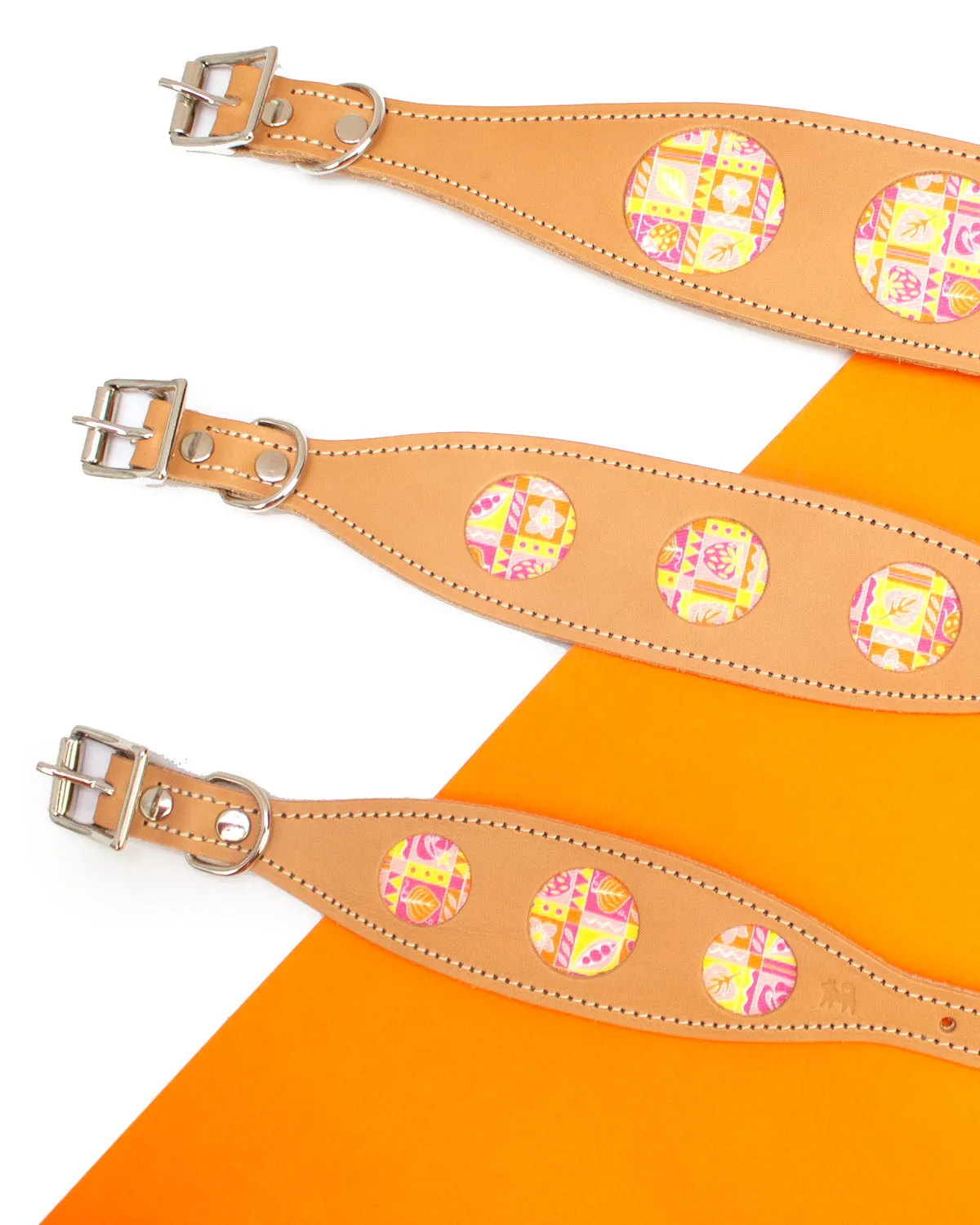 Summer Harvest Hound Collar